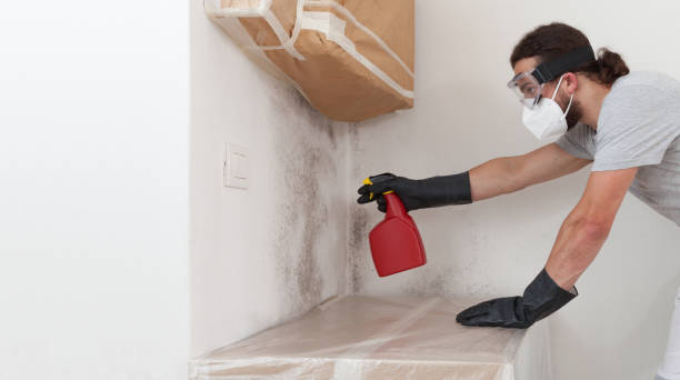 Professional Mold Remediation technician working in Wellesley, MA