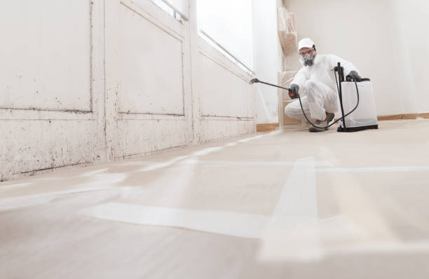 24/7 Emergency Mold Remediation experts in Wellesley, MA